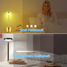Laden Sie das Bild in den Galerie-Viewer, LED Tischlampe. Lampe mit Dimmung. Akkubetrieb. Nachttisch, Gartentisch. Exklusiv. Touch-Funktion