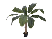 Laden Sie das Bild in den Galerie-Viewer, Künstliche Bananen-Palmen mit Seidenblättern und Naturstämmen. Pflegefrei. Viele Größen von 120 - 270 cm.