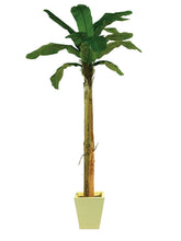 Laden Sie das Bild in den Galerie-Viewer, Künstliche Bananen-Palmen mit Seidenblättern und Naturstämmen. Pflegefrei. Viele Größen von 120 - 270 cm.