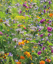 Laden Sie das Bild in den Galerie-Viewer, Bienenweide Nektar &amp; Pollen Blühmischung Blumenmischung Blumenwiese für bis zu 500 m²