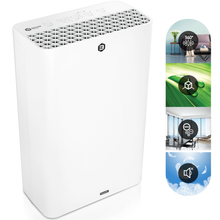 Laden Sie das Bild in den Galerie-Viewer, Viren - Luftreiniger 5in1 mit HEPA-Kombifilter, Aktivkohlefilter, Ionisator